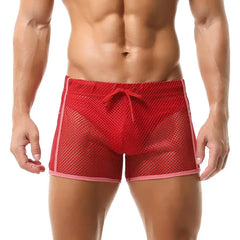 Bräunungsdurchlässige Bademode für Männer, sexy, schwule Badehose, Strand, durchsichtiger Netzstoff, Badeanzug, Boxershorts, Unterwäsche